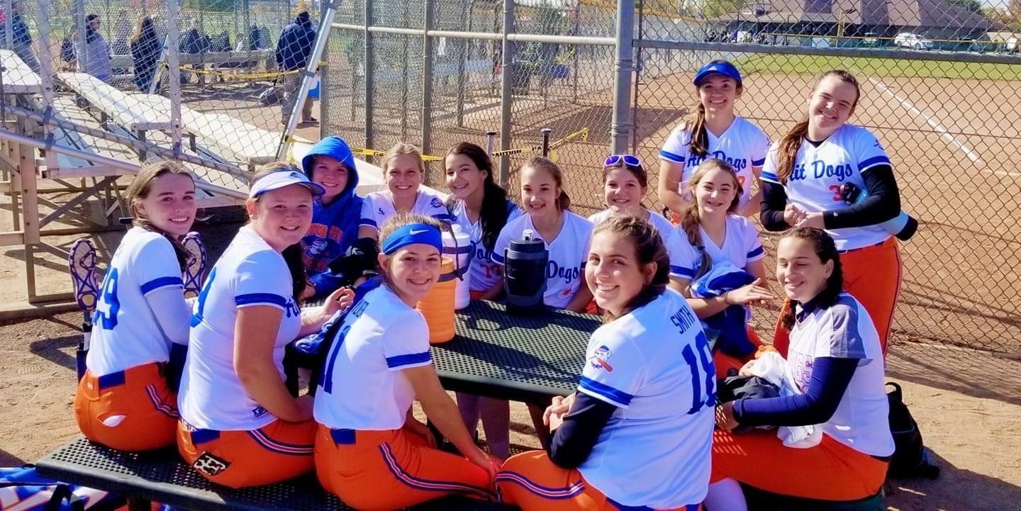 MOTOR CITY HIT DOGS SOFTBALL ACADEMY