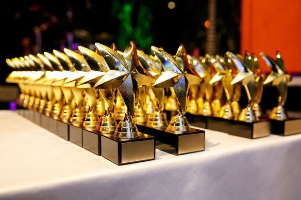 A row of gold trophies are lined up on a table.