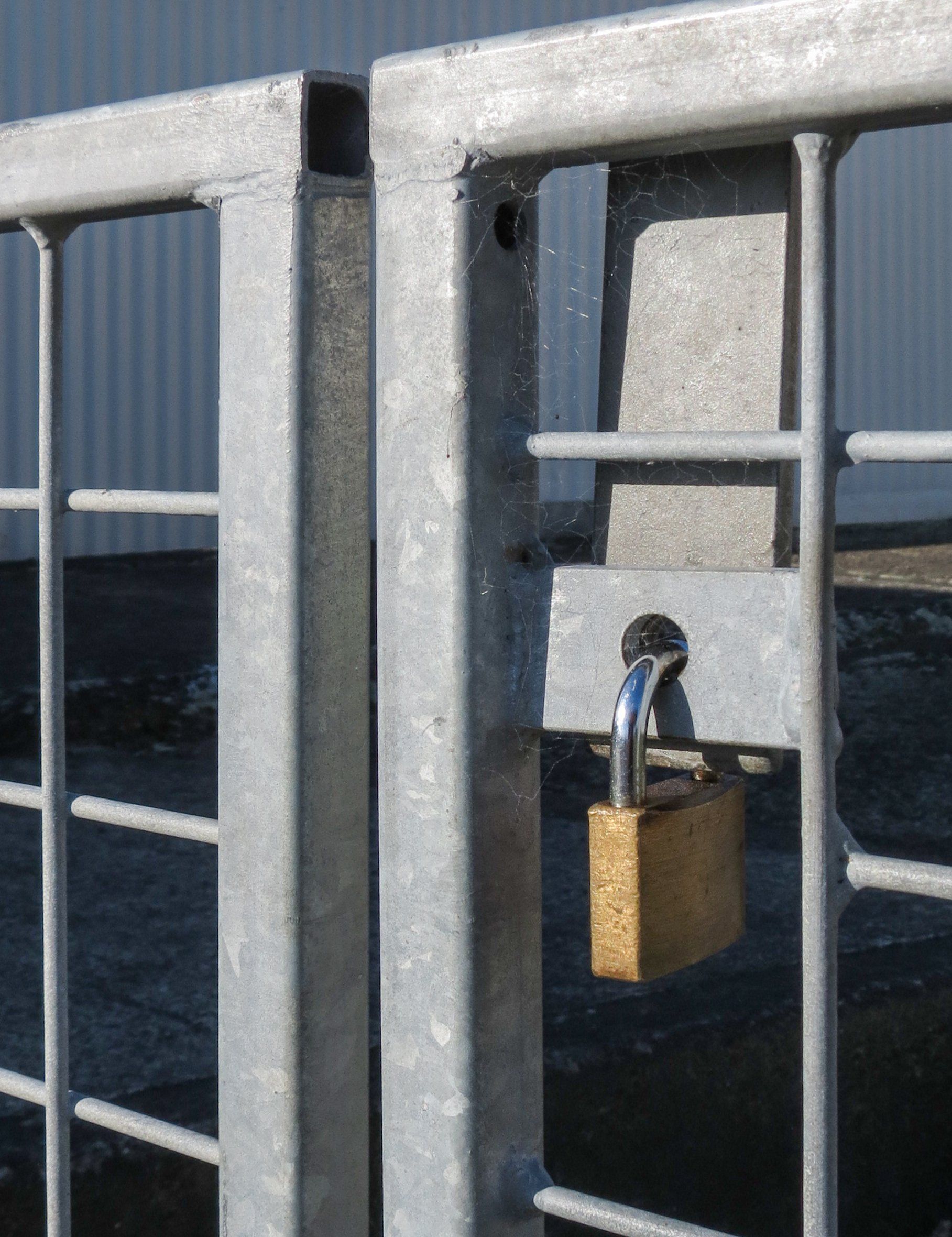 A metal gate secured with a brass padlock.