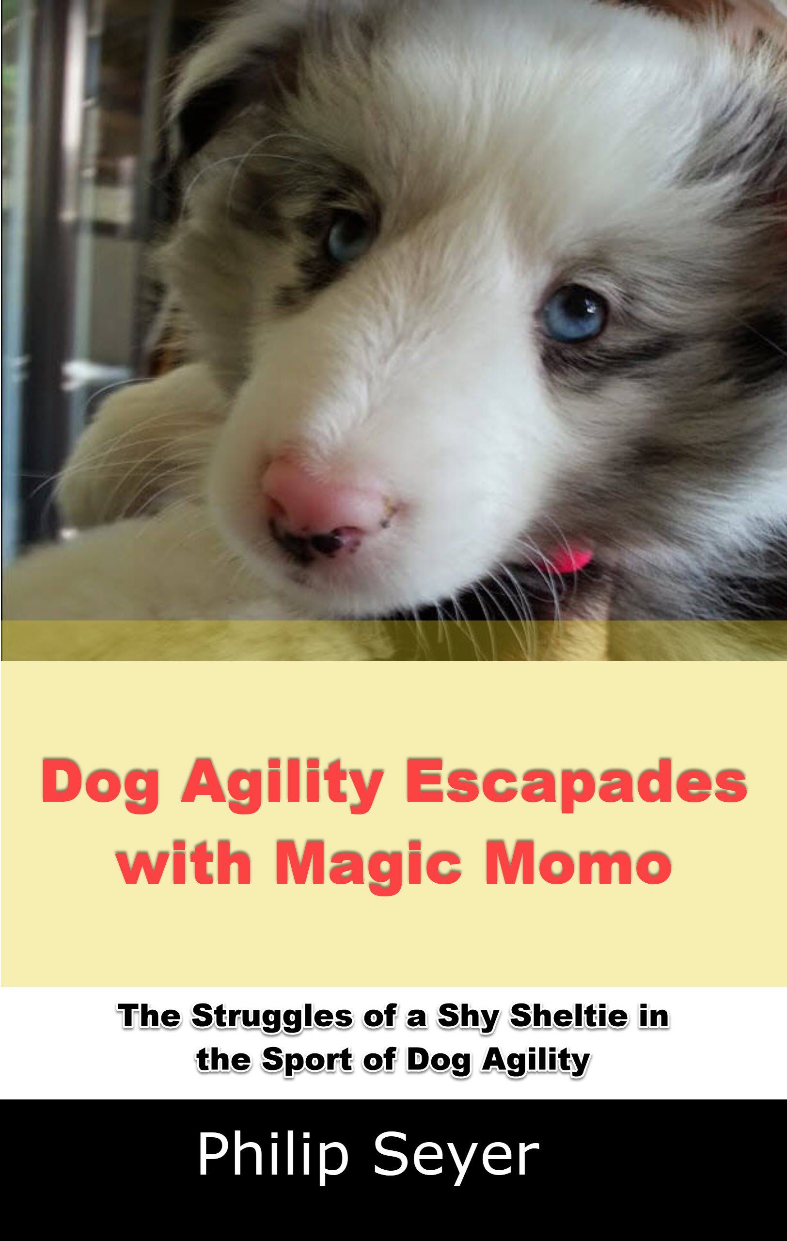Dog agility fun with Magic Momo Superdog