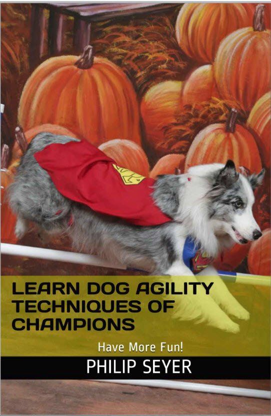 book, learn dog agility techniques