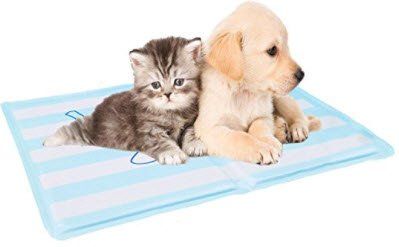 A cooling mat for your dog