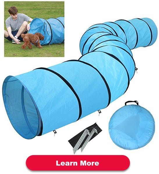 dog agility tunnels on Amazon