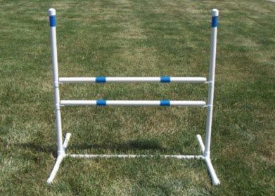 dog agility gear
