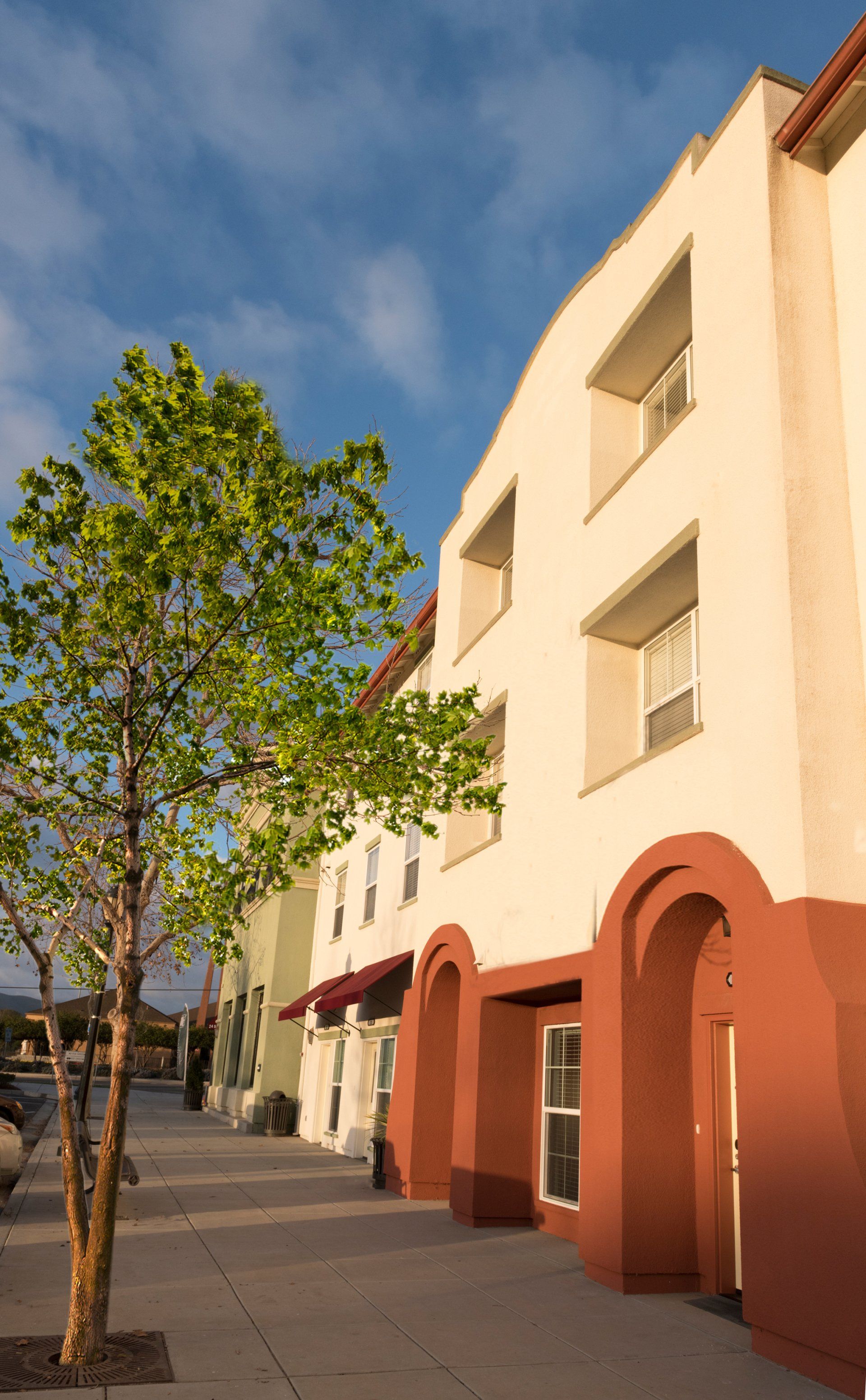 A  building with a tree in front