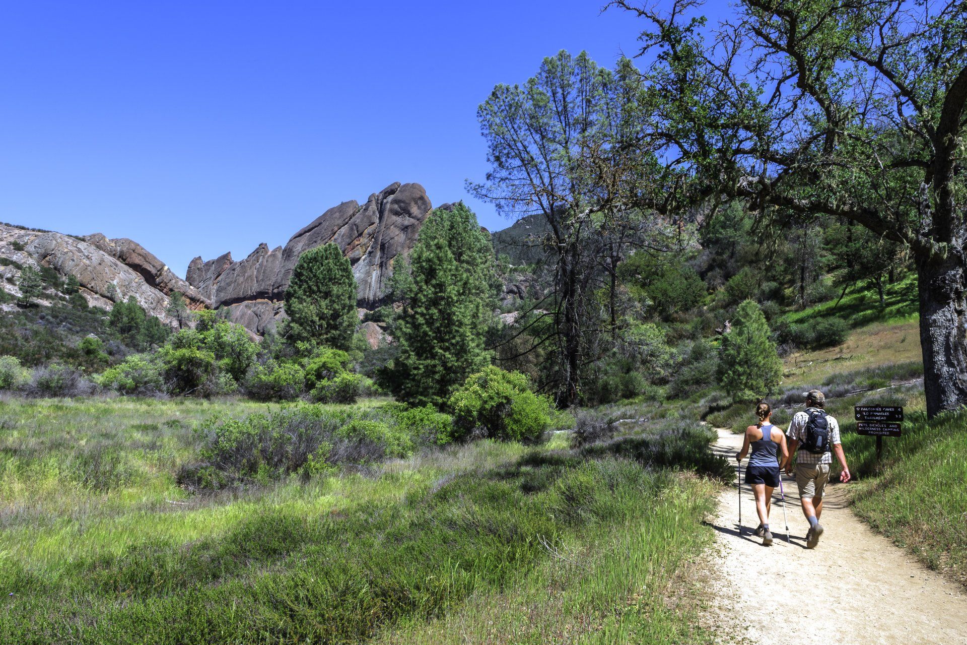 Two people are walking down a dirt path in the woods.
