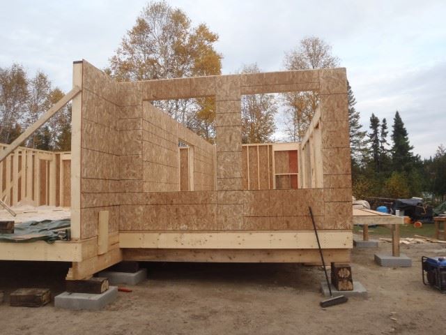 A wooden house is being built in a field with trees in the background