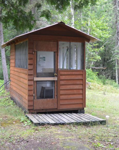 A small wooden cabin in the middle of a forest
