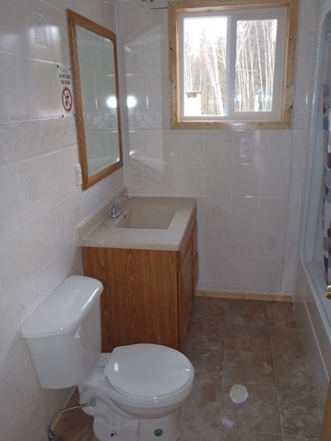 A bathroom with a toilet a sink and a mirror