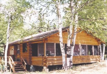 A log cabin is surrounded by trees on a hillside