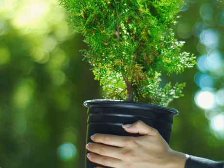 Landscape Services – Advanced Lawn Control  Fort Walton Beach, FL