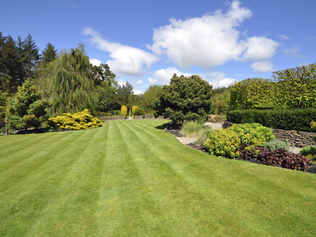 Landscape Services – Advanced Lawn Control  Fort Walton Beach, FL