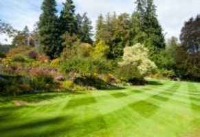 Property Management – Advanced Lawn Control  Fort Walton Beach, FL