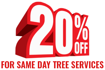 20% off same day tree services