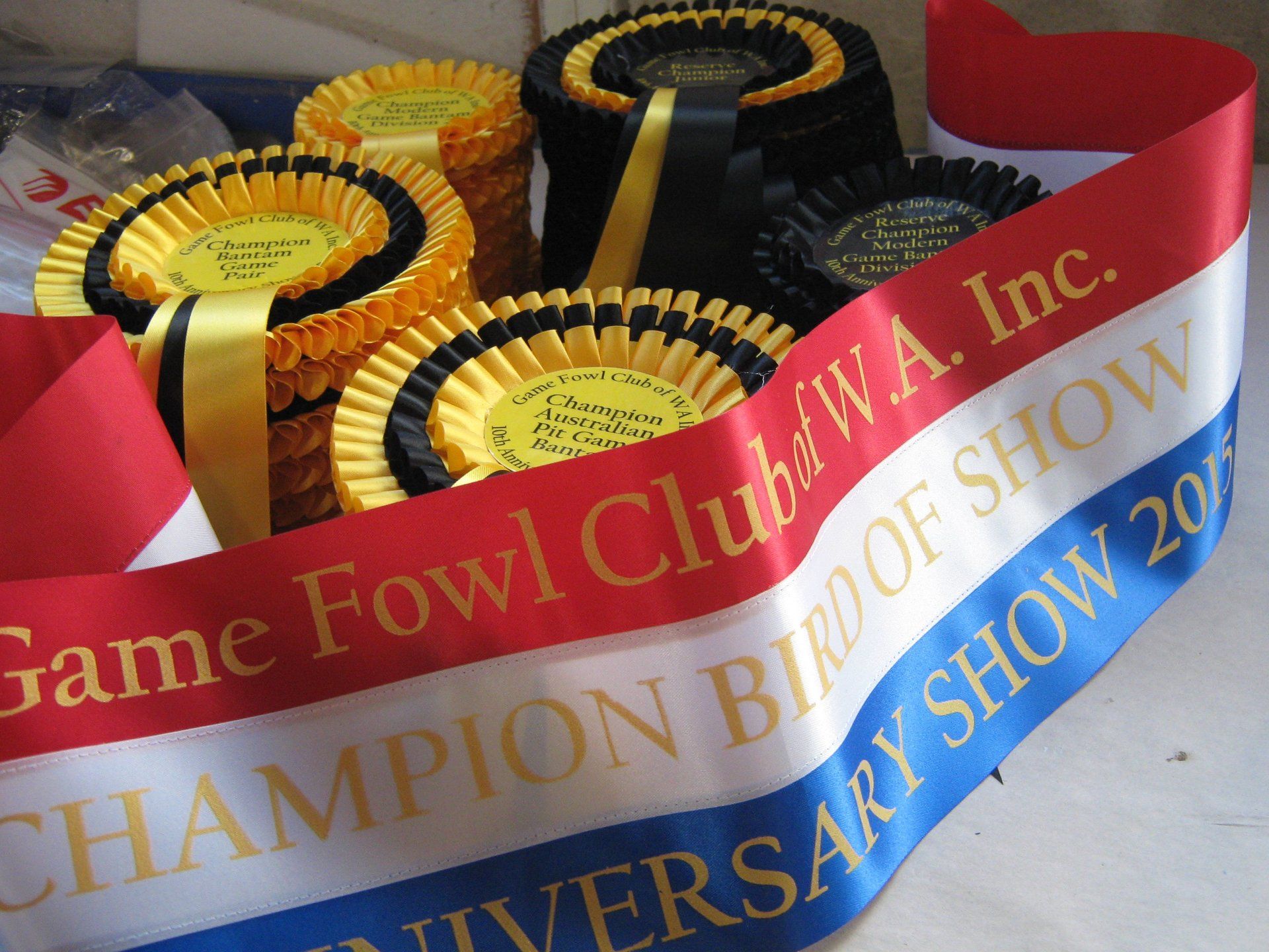 Engraved award shop has a range of trophies to congratulate someone in Auckland