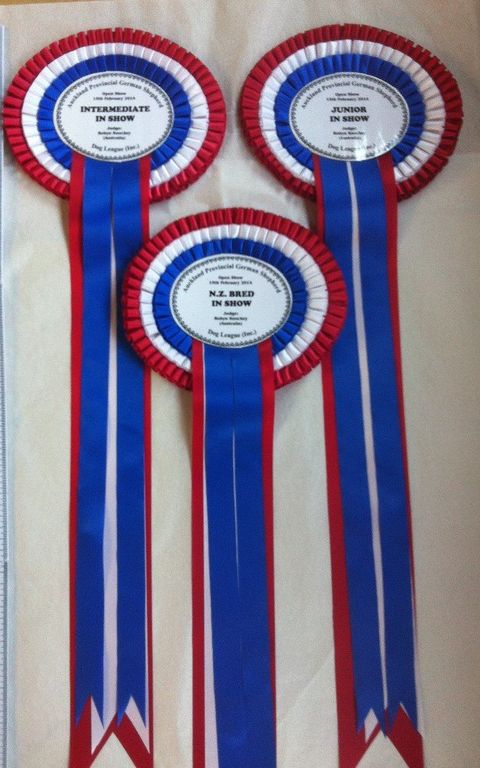 Worth treasuring trophies are supplied in Auckland