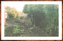 residential landscaping