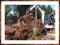 Landscape maintanence