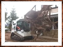 residential landscaping