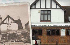 ASH House Vets Limited Company