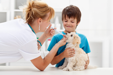 veterinary doctor giving medicine to a small puppy