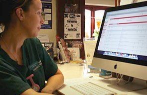 A veterinary doctor checking the system