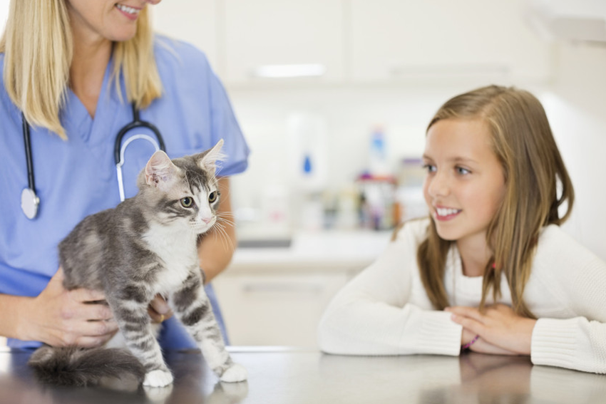 Free health checks for the newcomers