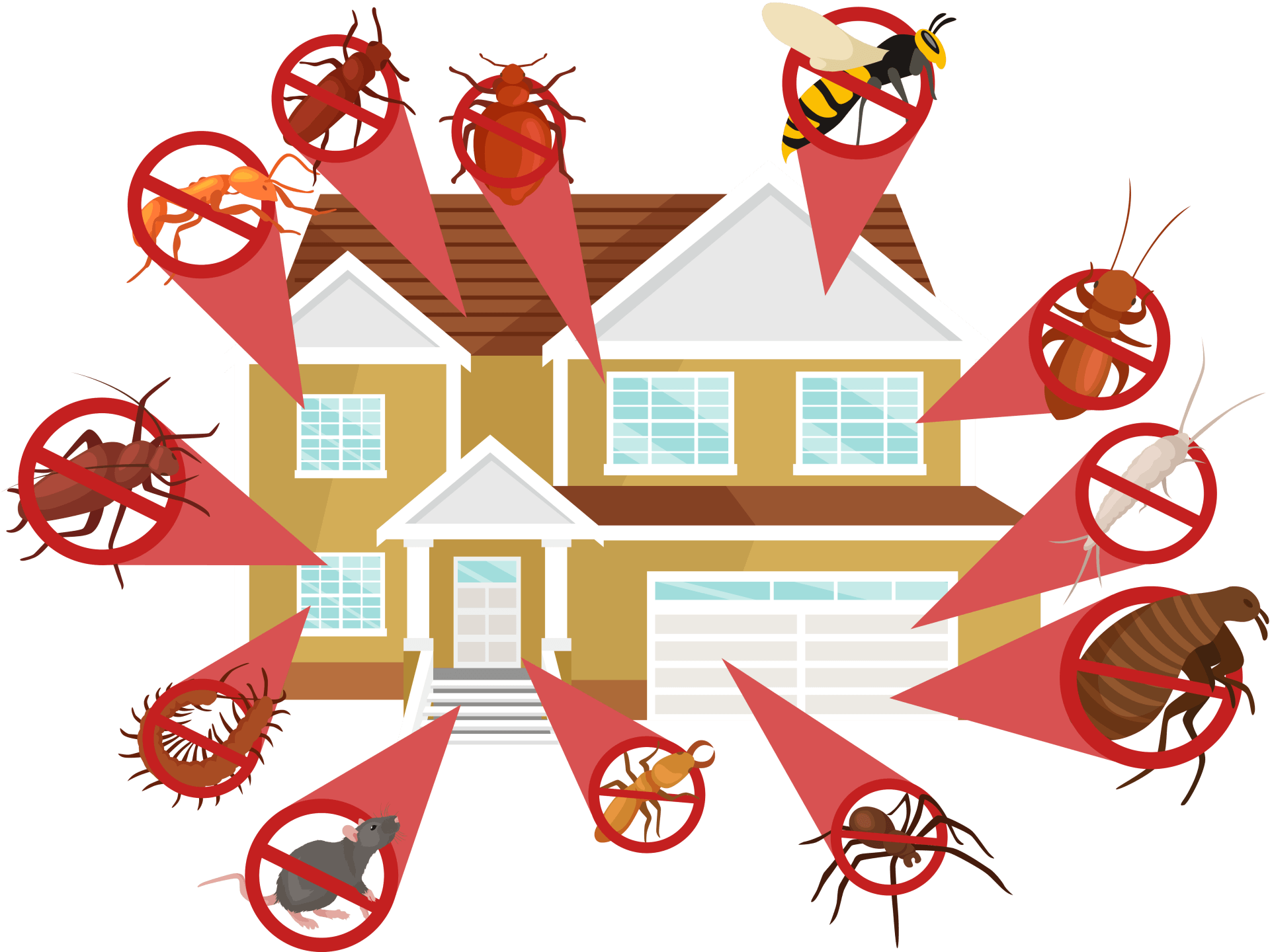 Pest graphic