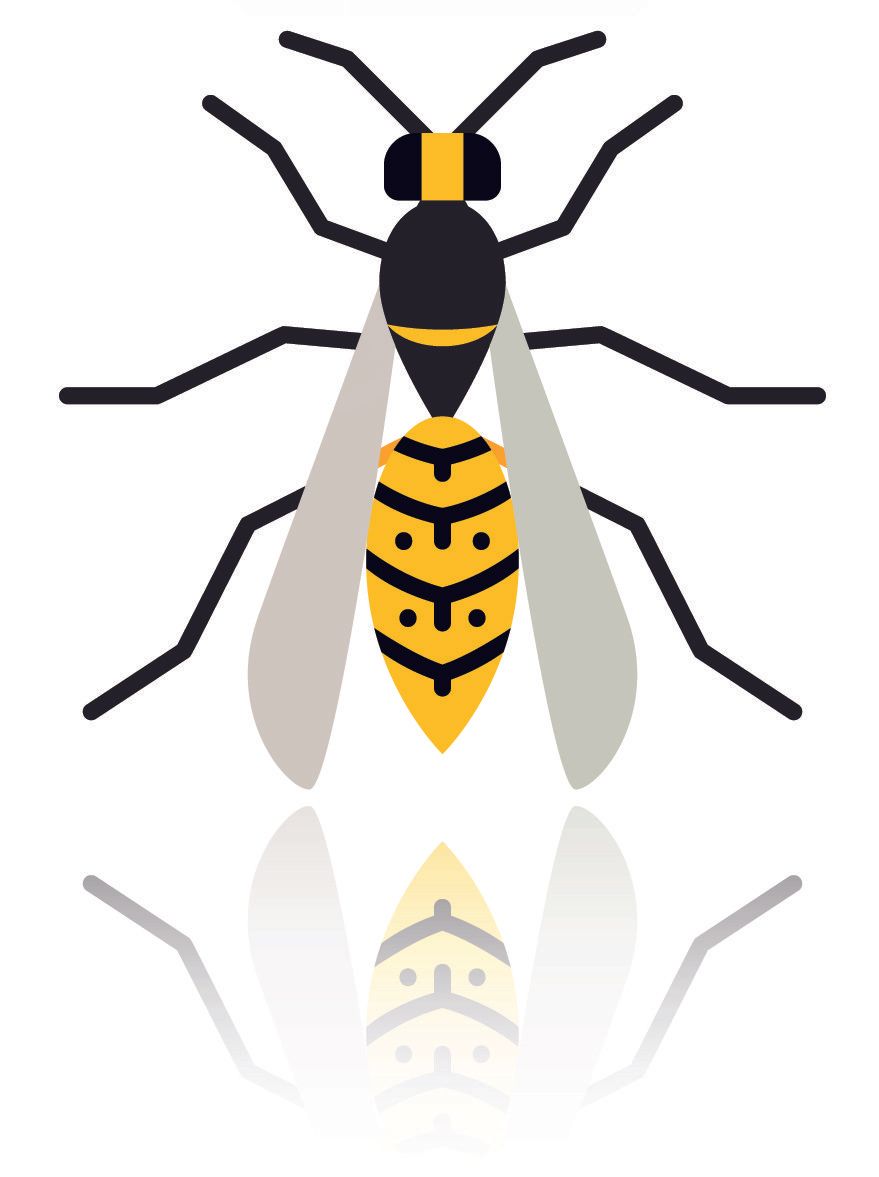Hornet illustration
