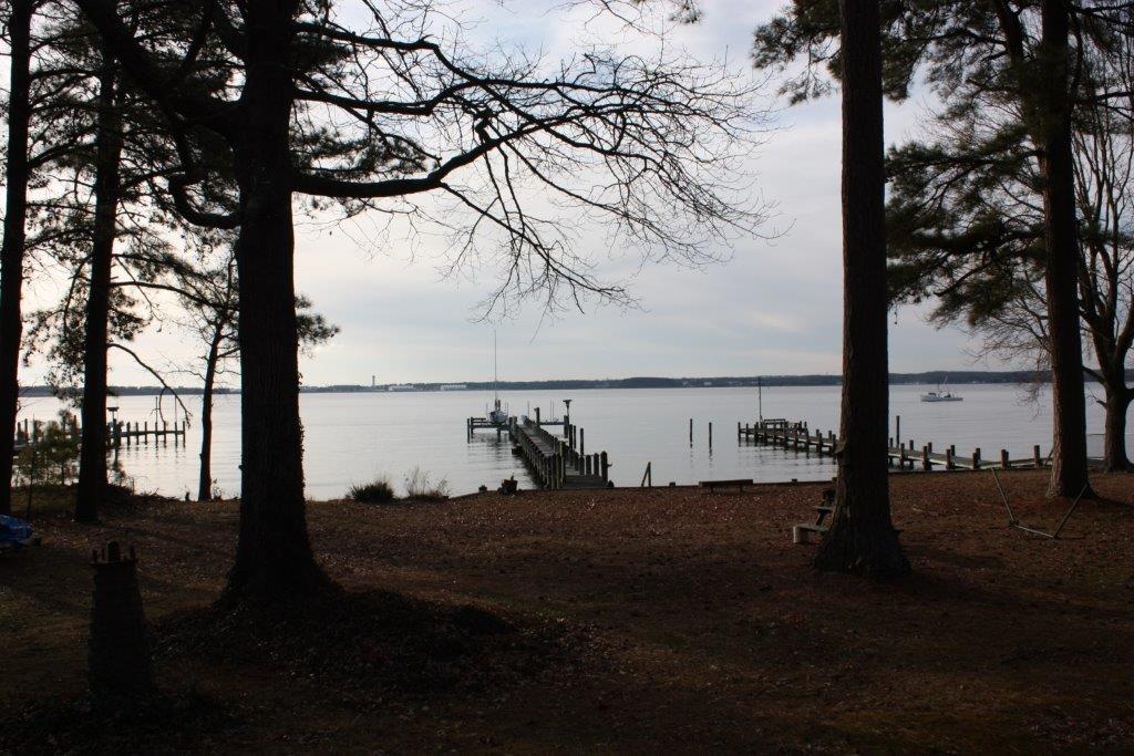A view of a body of water through the trees
