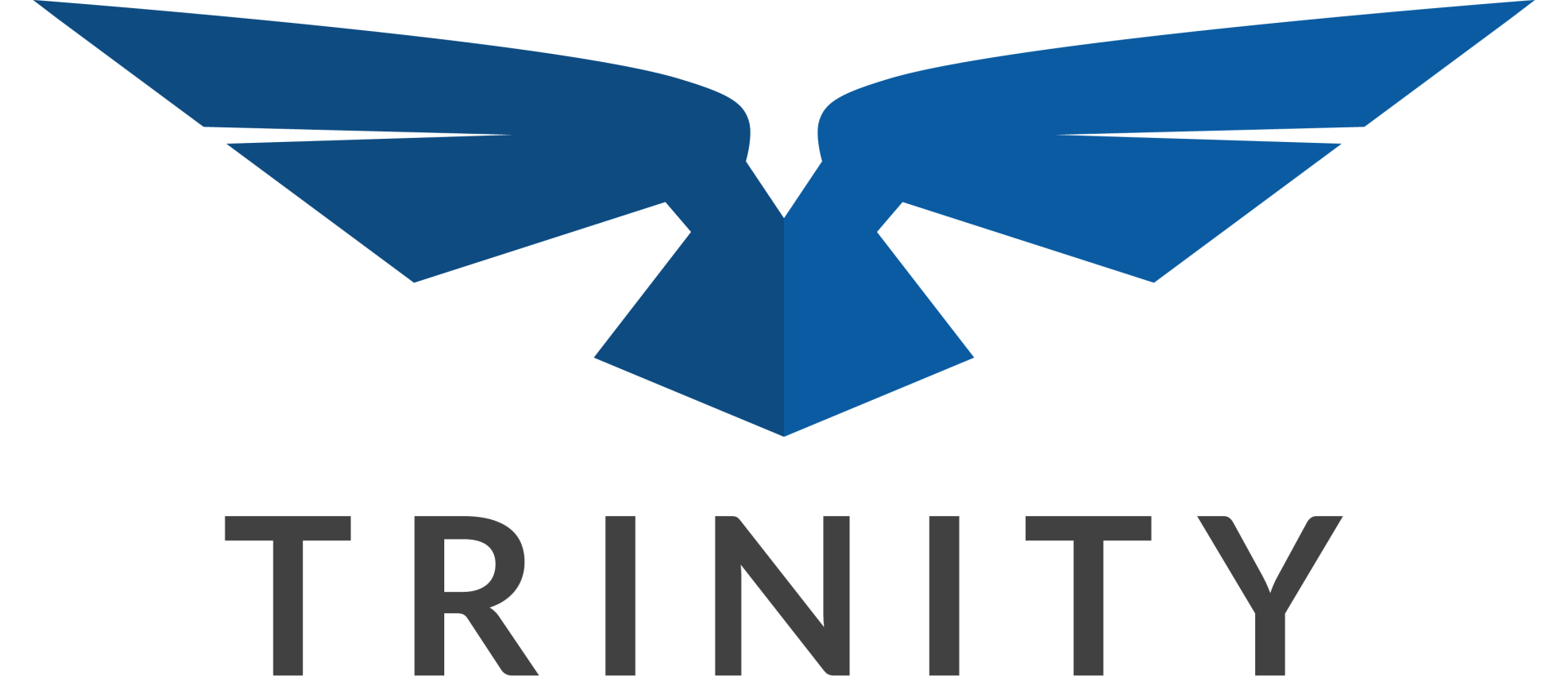 The trinity logo is a blue bird with wings and the word trinity below it.