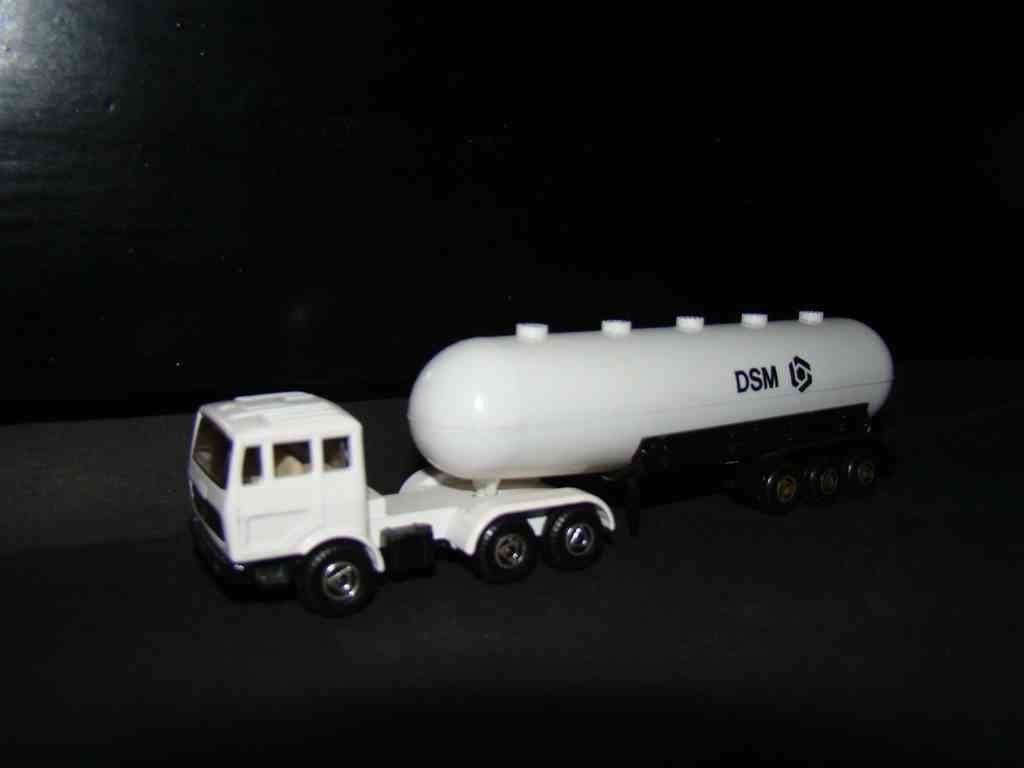 DSM EFSI