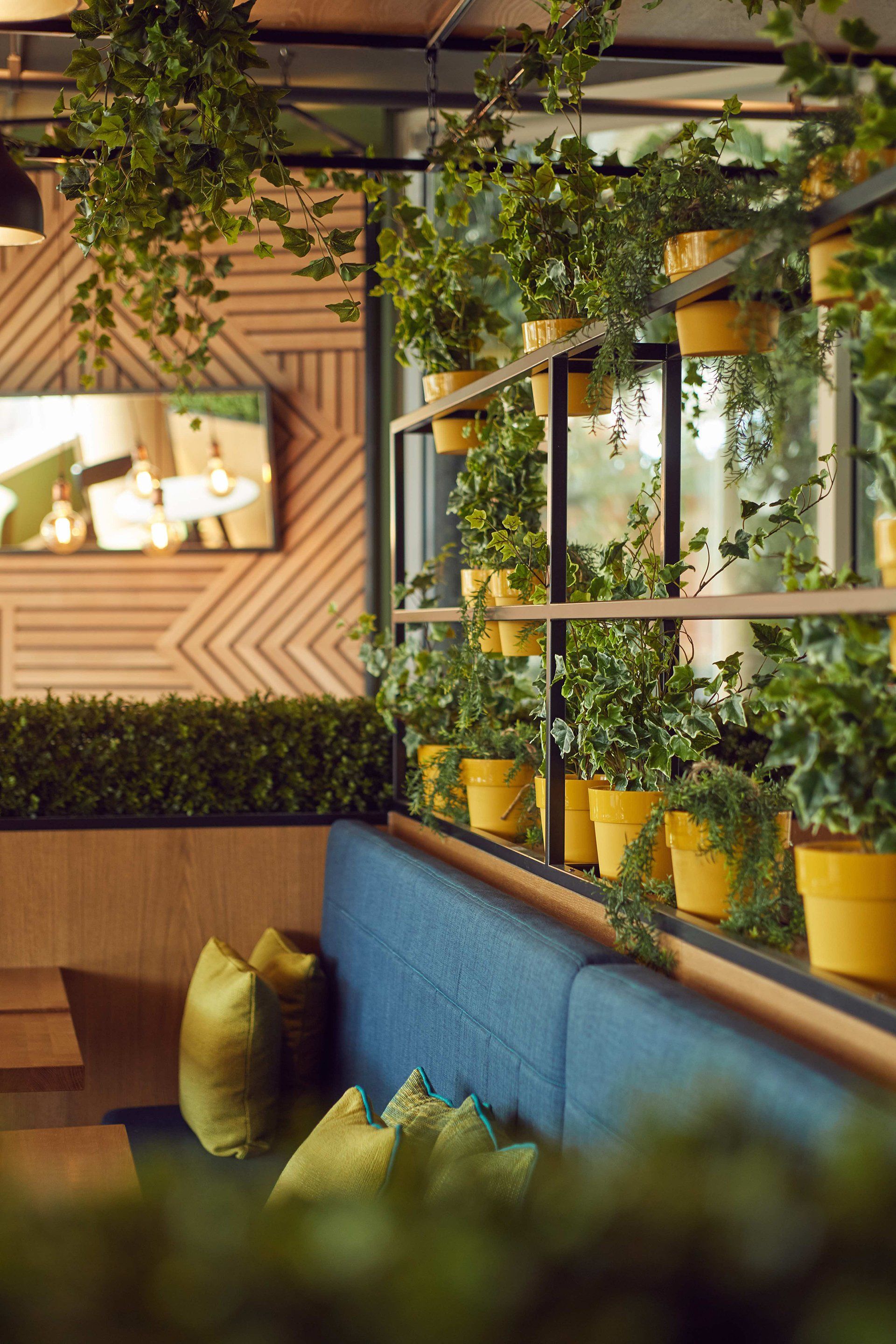 plants in a yellow pot