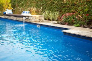 Garden Surrounding Swimming Pool - Swimming Pool in Irving, TX Garden Surrounding Swimming Pool - Swimming Pool in Irving, TX