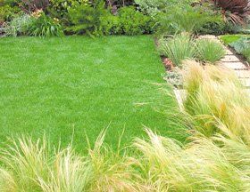 squirrel-traps-bridgnorth-staffordshire-tony-haynes-grass-cutting squirrel-traps-bridgnorth-staffordshire-tony-haynes-grass-cutting