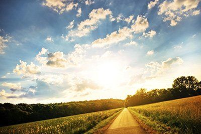 dirt road dirt road