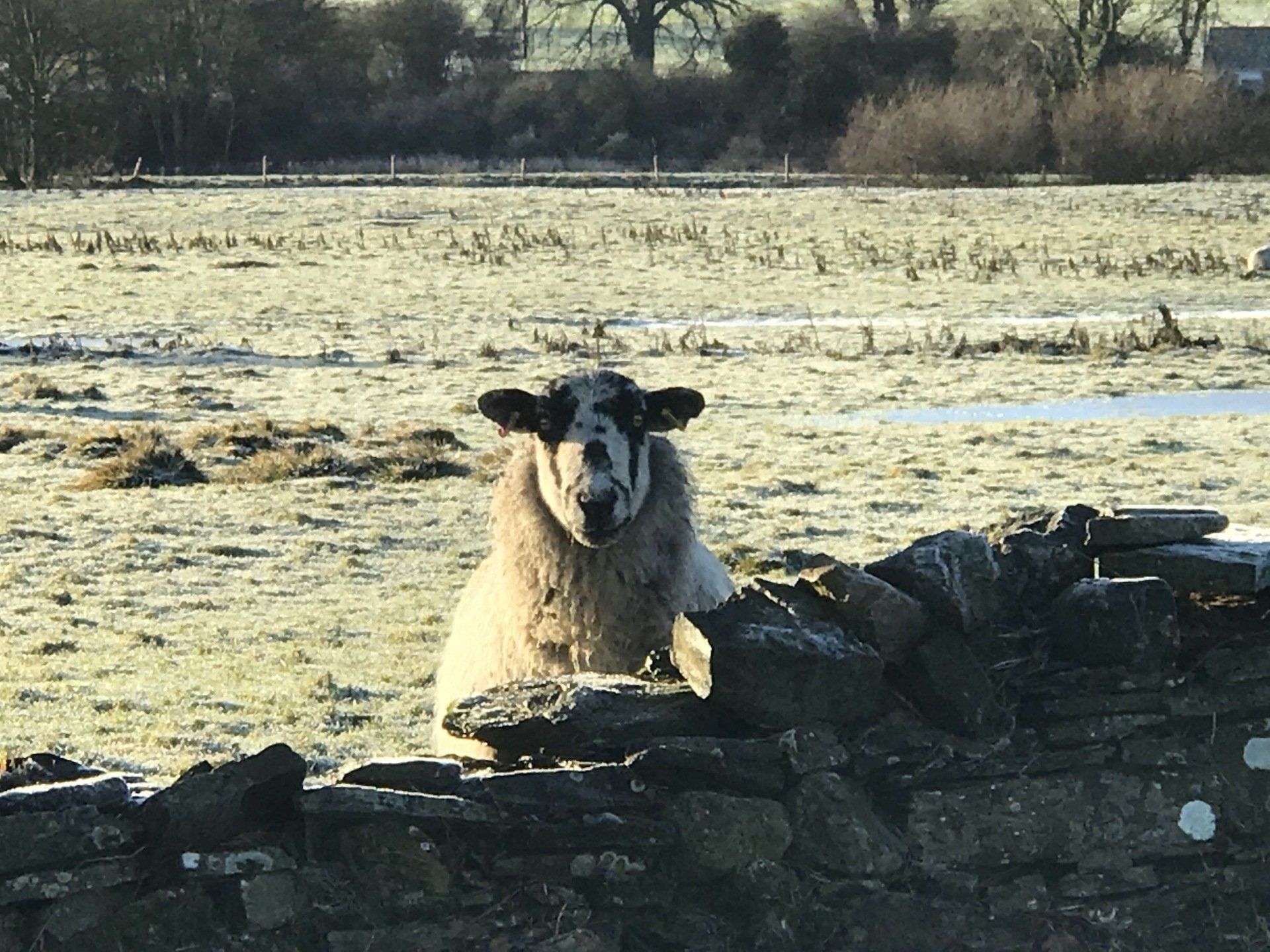 Yorkshire Dales, Self Catering Cottages