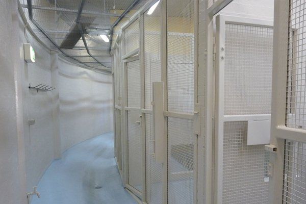 Taronga Zoo monkey enclosure blasting and repainting