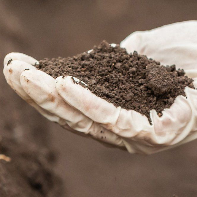 Soil remediation