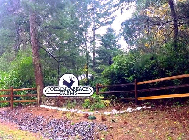 Joemma Beach Farms Photo