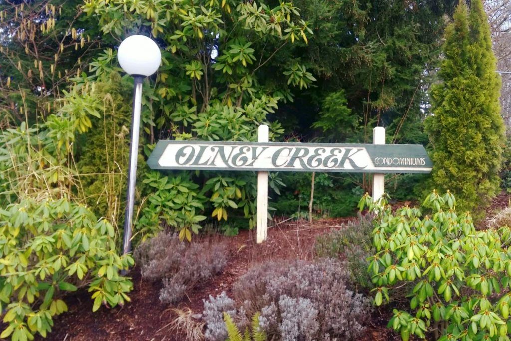 Olney Creek Condos Photo