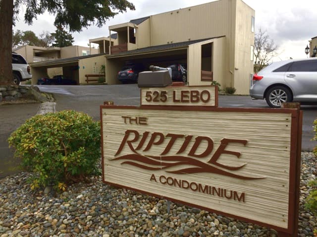 Riptide I Photo