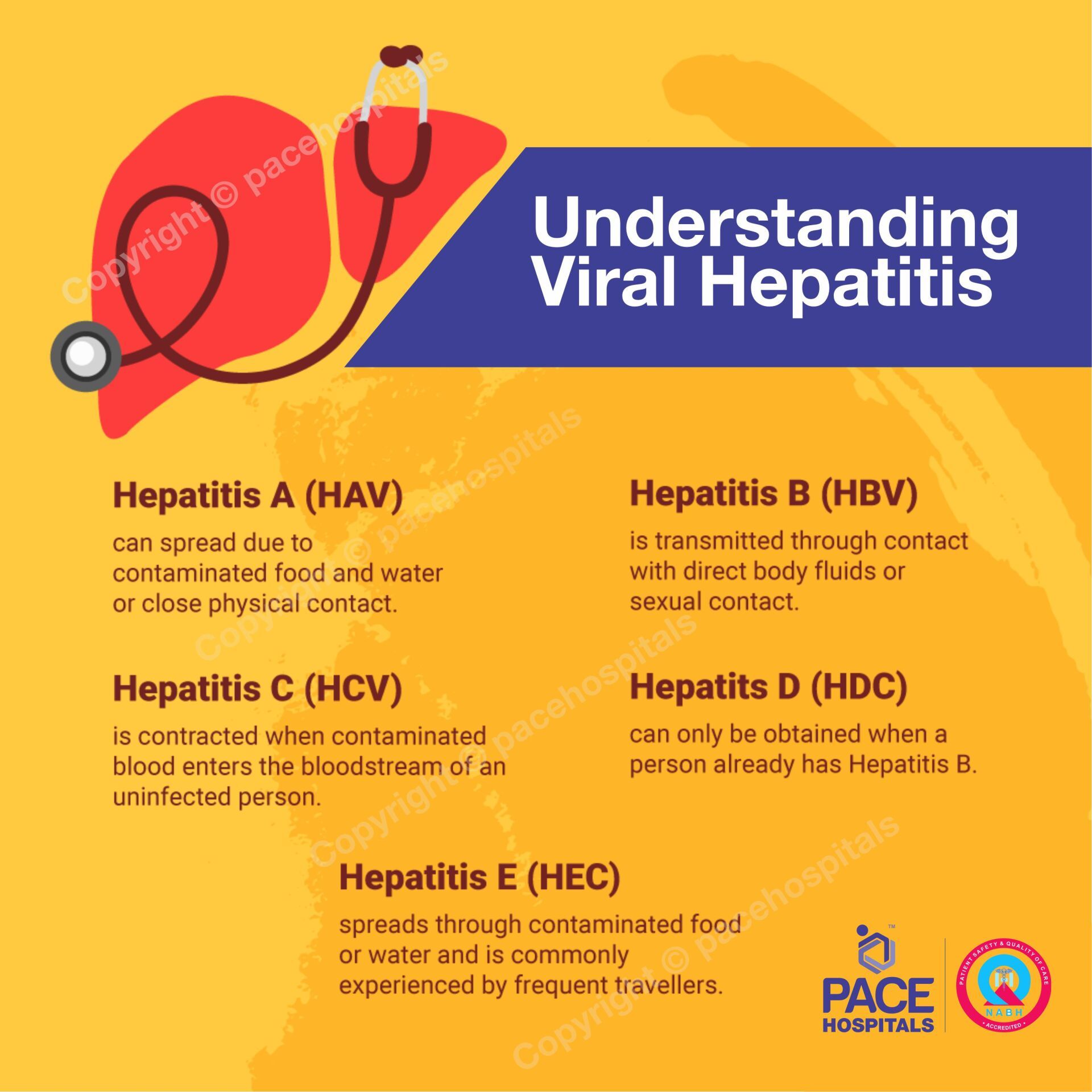 Types of Viral Hepatitis - Pace Hospitals Types of Viral Hepatitis - Pace Hospitals