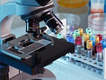 Medical laboratory setup for clinical diagnostics