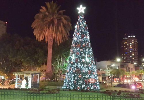 Un árbol de Navidad iluminado con una estrella en la cima, en un parque de la ciudad por la noche, junto a una palmera