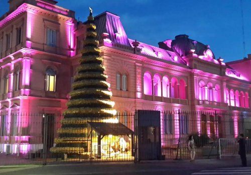 Edificio histórico iluminado de color rosa con un alto árbol de Navidad iluminado por la noche.