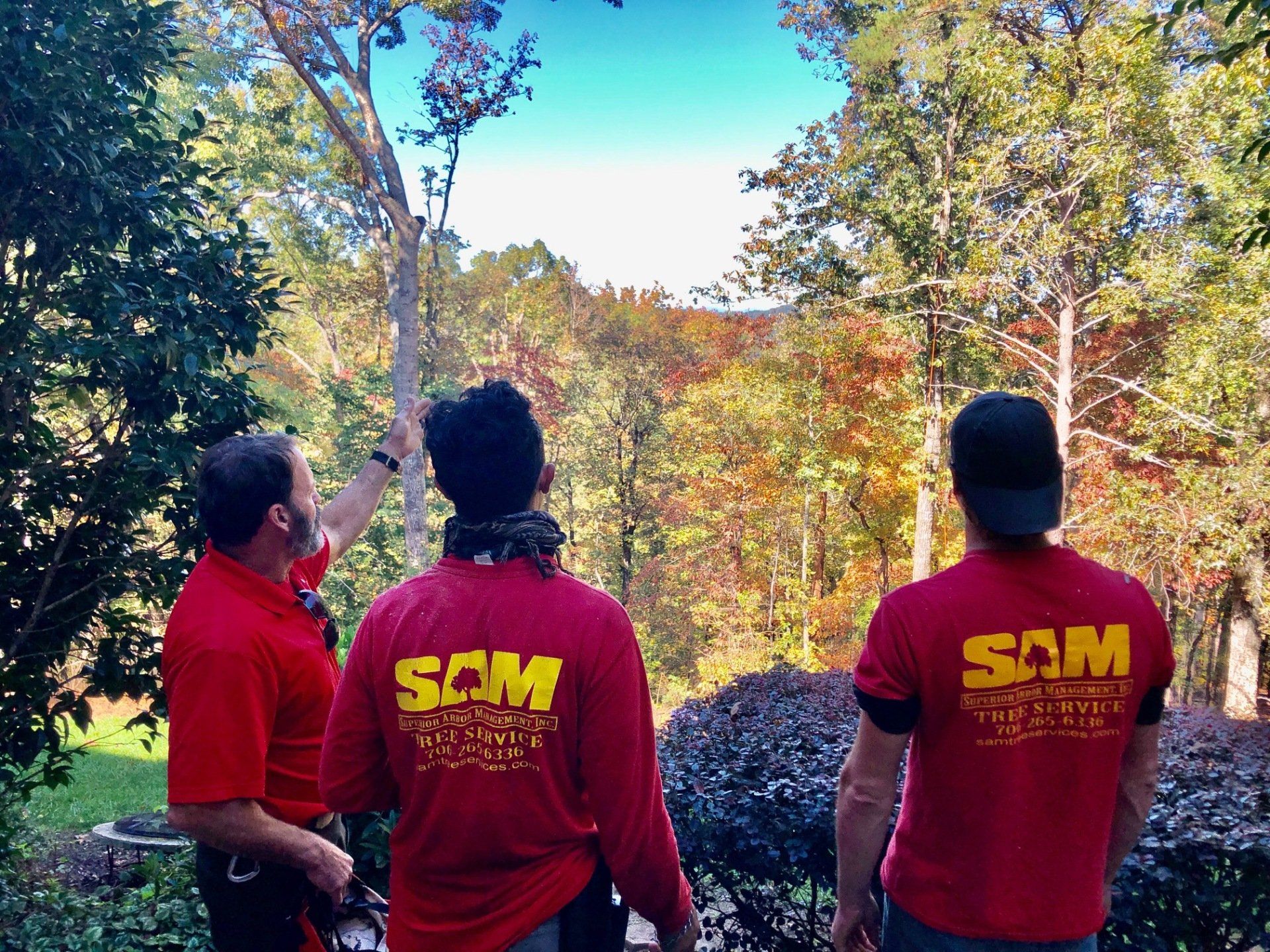 SAM Tree Service SAM Tree Service