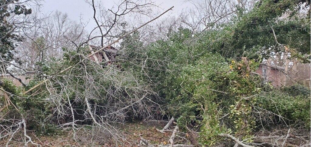 Emergency Tree Service Emergency Tree Service