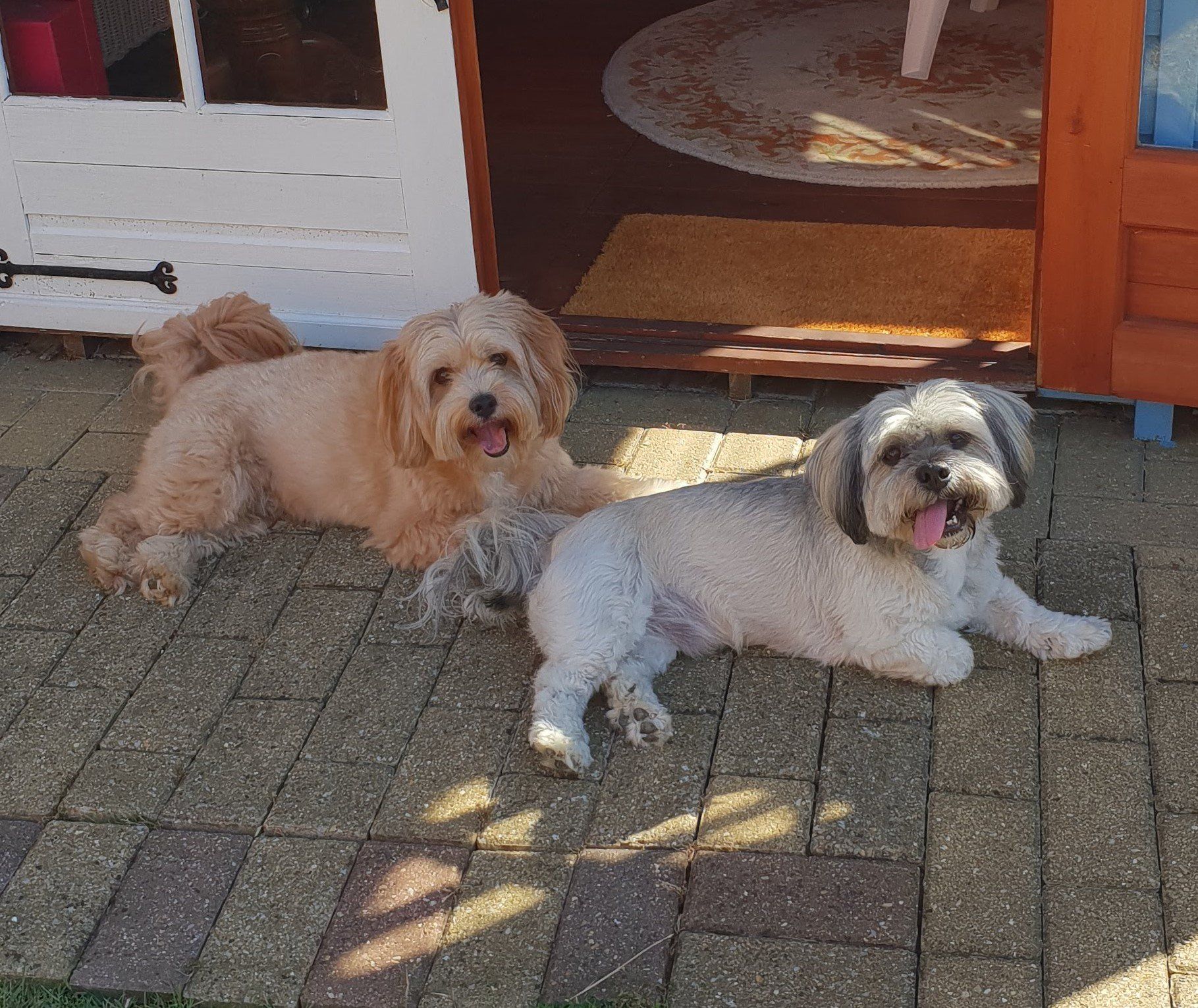 Teek & Oscar