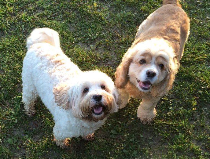 Phoebie & Maizy
